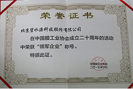 2015年中国膜行业20年领军企业奖